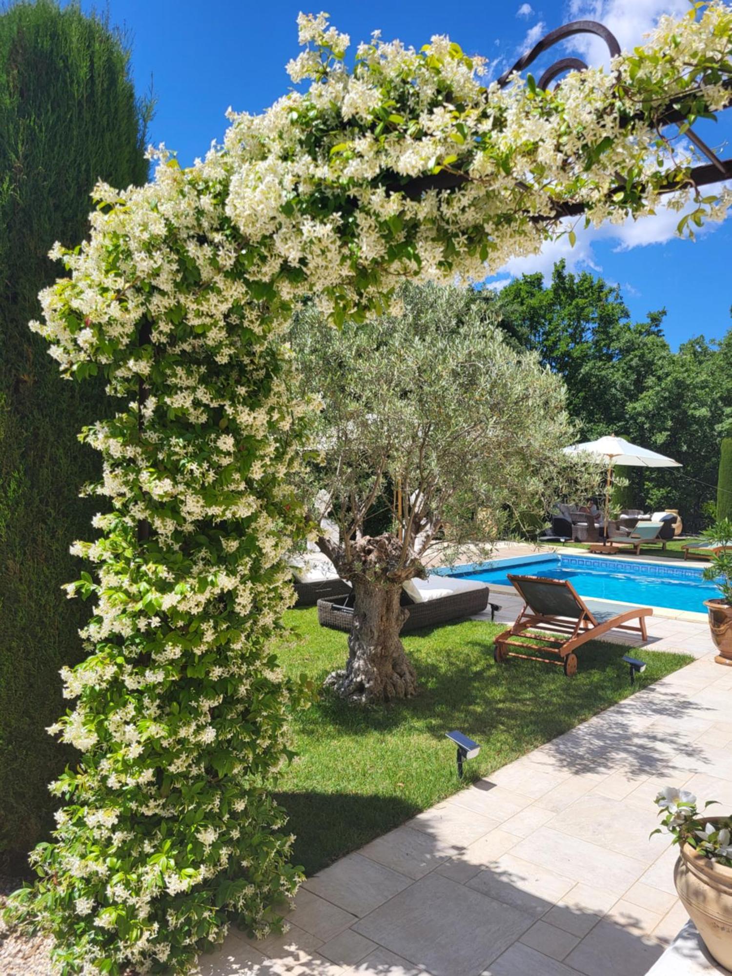 Villa Sulis Lorgues Εξωτερικό φωτογραφία